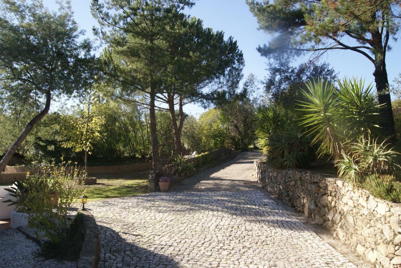 Casa Do Vale Villa Sao Pedro de Tomar Exterior photo